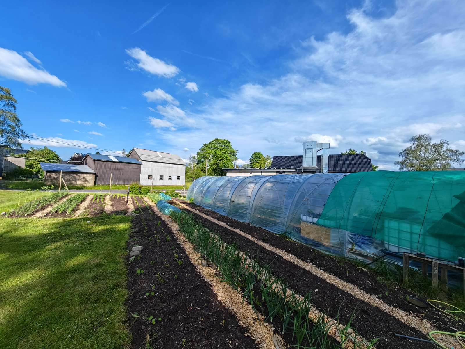 Eifel Greens – regional, frisch und mit Leidenschaft angebaut